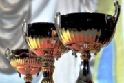 Лига «МИТХТ – Тропарево-Никулино»: финал 2012/13